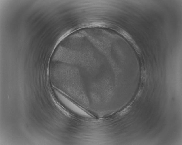 X0000080751234200701051202