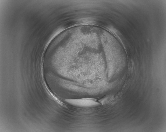 X0000080751235200701051202