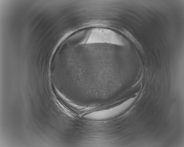 X0000080751240200701051202