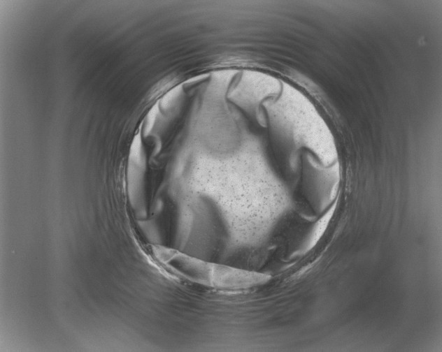 X0000080751241200701051202