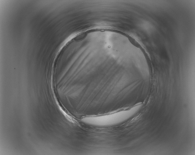 X0000080751245200701051202