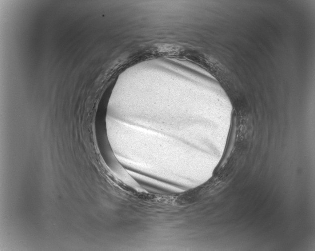 X0000080751249200701051201