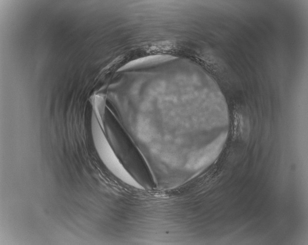 X0000080751250200701051201