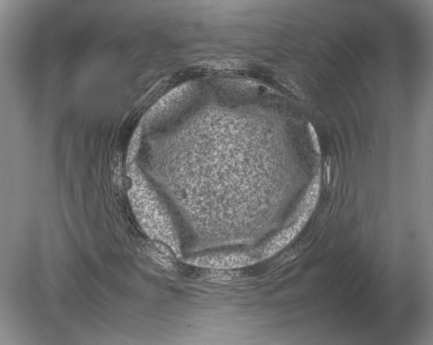 X0000080751251200701051201
