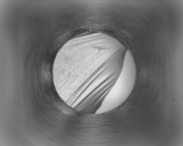 X0000080751252200701051201