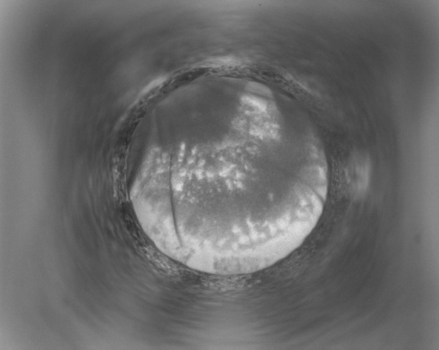 X0000080751254200701051201
