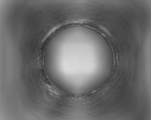 X0000080751256200701051201