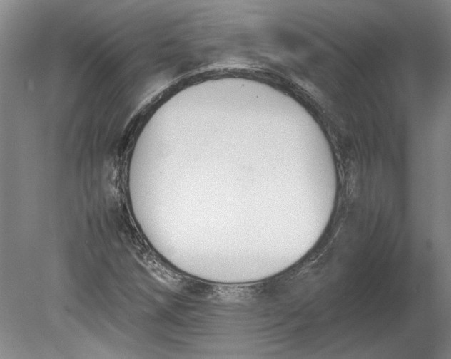 X0000080751258200701051201