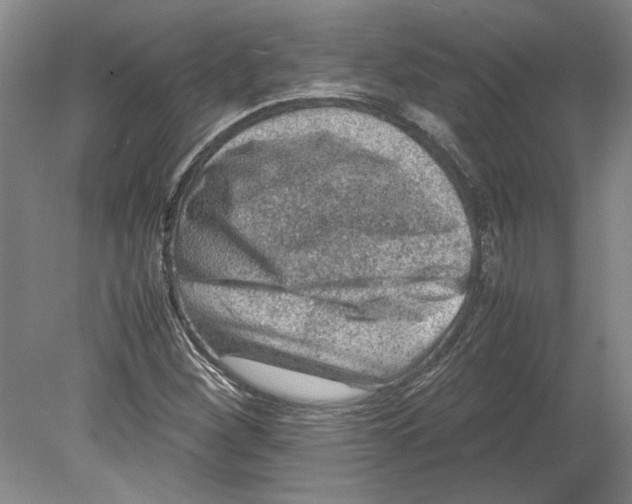 X0000080751260200701051201