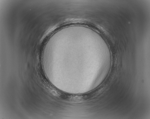 X0000080751261200701051201