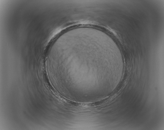 X0000080751263200701051201