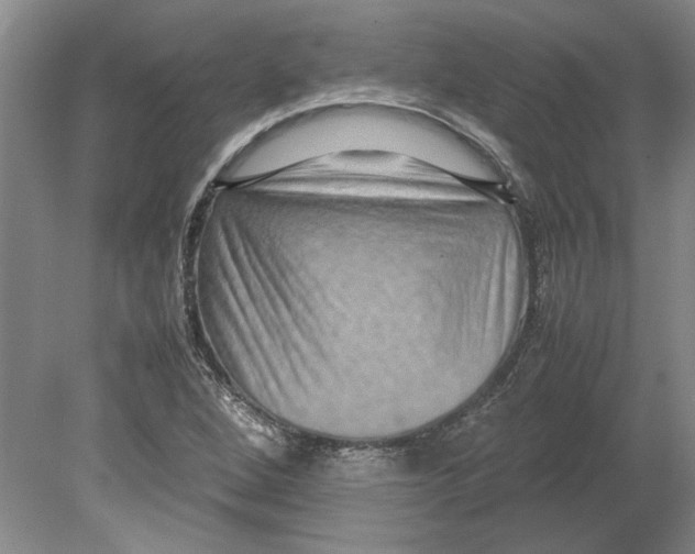 X0000080751264200701051201