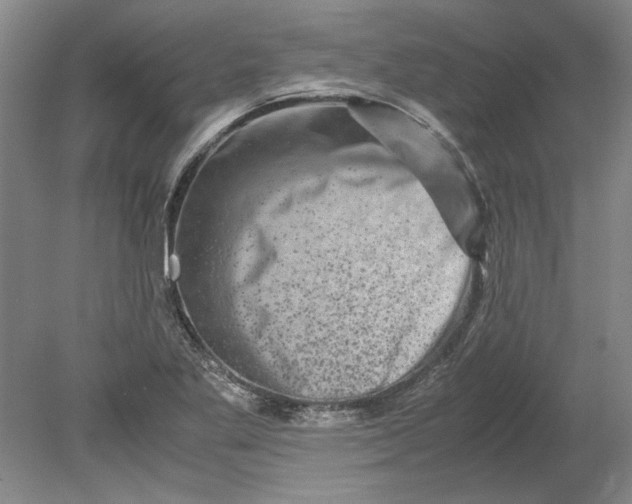 X0000080751269200701051201