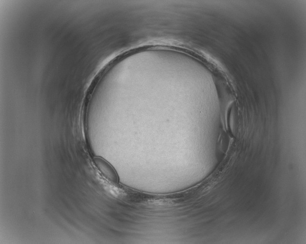 X0000080751272200701051201