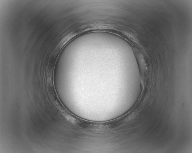 X0000080751273200701051201