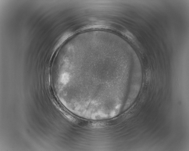 X0000080751274200701051201
