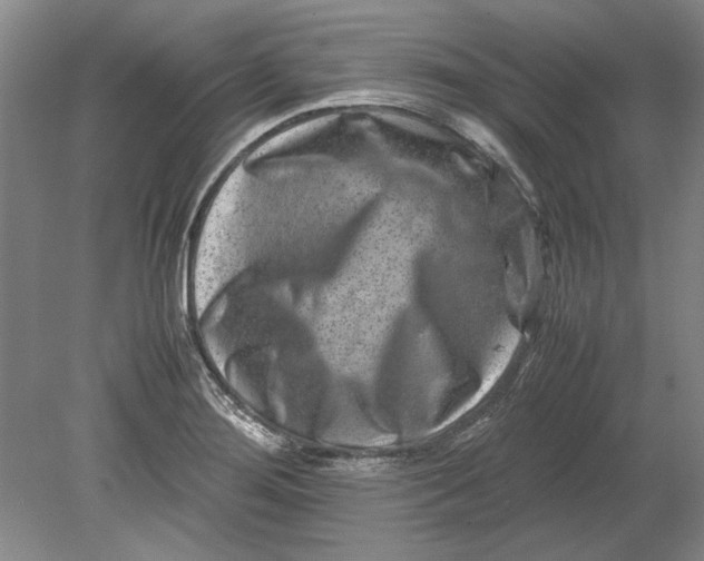 X0000080751276200701051201
