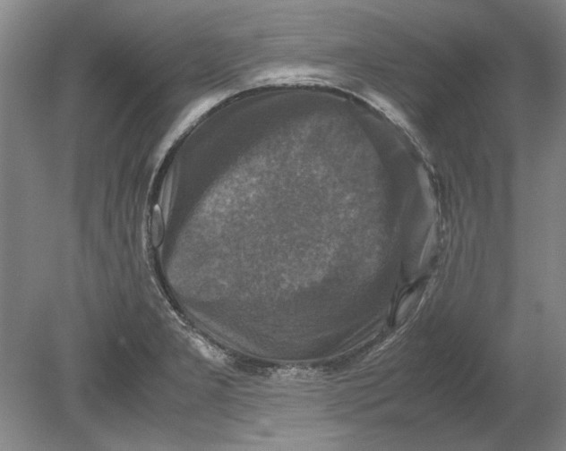 X0000080751277200701051201