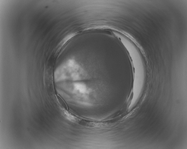 X0000080751289200701051201