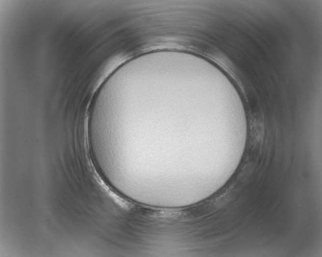 X0000080751290200701051201