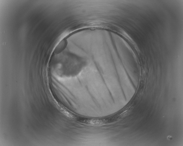 X0000080751291200701051201