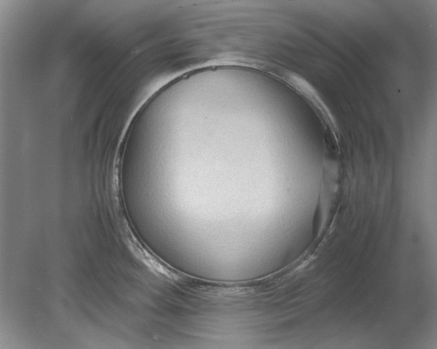 X0000080751292200701051201