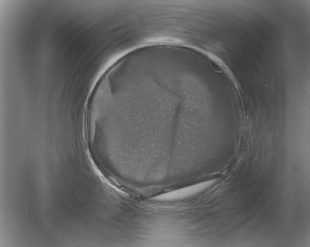 X0000080751295200701051201
