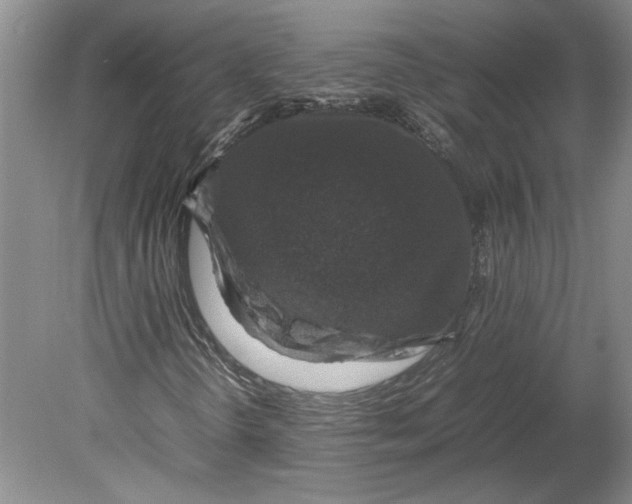 X0000080751298200701051200
