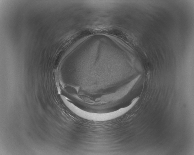 X0000080751300200701051200