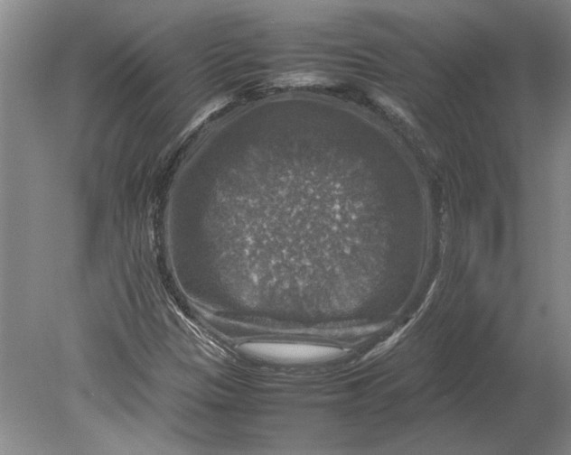 X0000080751305200701051200