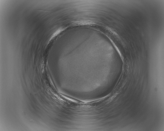 X0000080751306200701051200