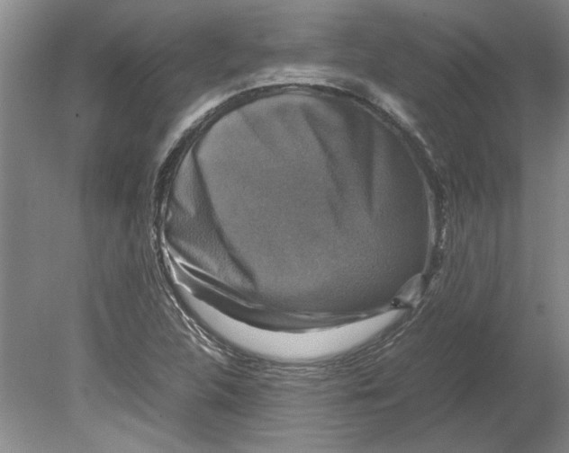 X0000080751312200701051200