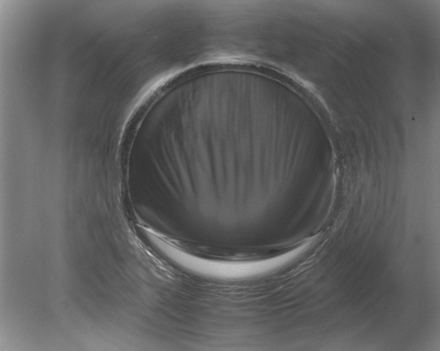 X0000080751319200701051200