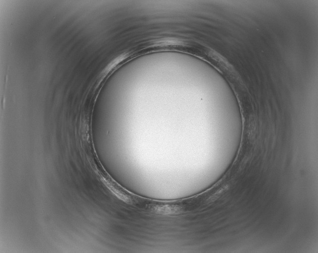 X0000080751321200701051200