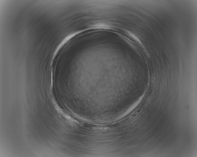 X0000080751323200701051200