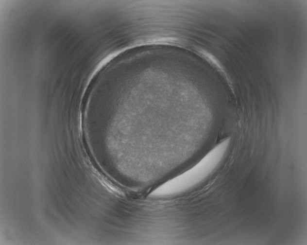X0000080751324200701051200