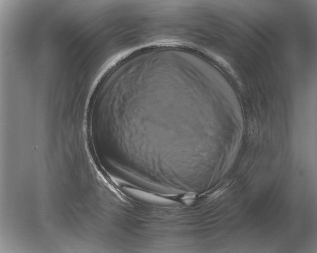 X0000080751327200701051200