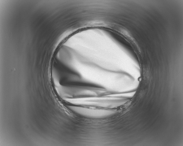 X0000080751328200701051200