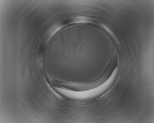 X0000080751329200701051200