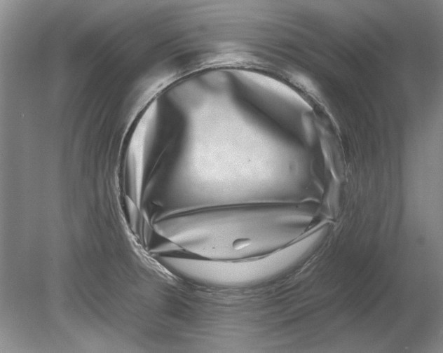 X0000080751330200701051200