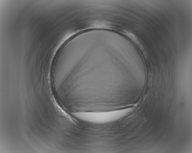 X0000080751331200701051200