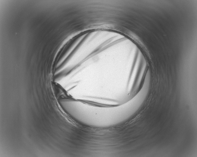 X0000080751332200701051200