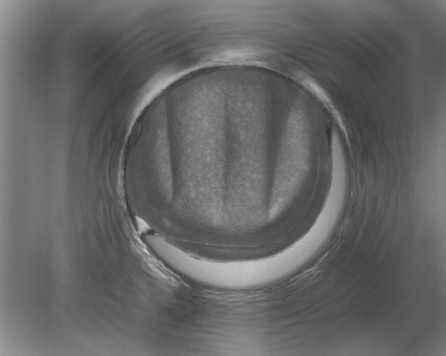 X0000080751336200701051200