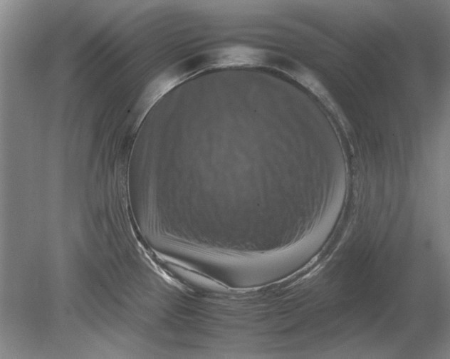 X0000080751337200701051200