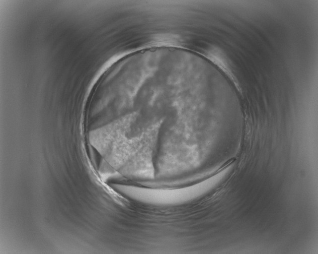 X0000080751339200701051200