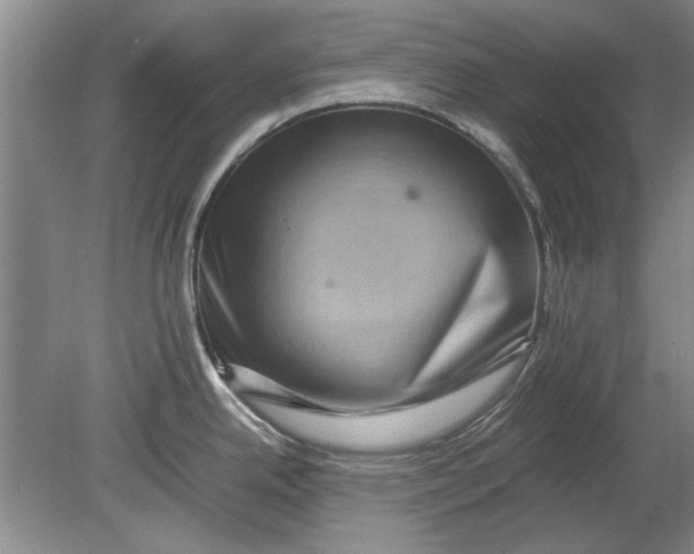X0000080751342200701051200