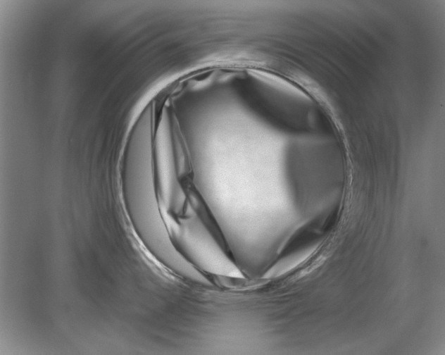 X0000080751344200701051200