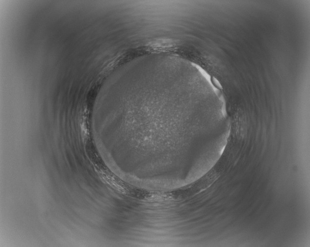 X0000080751346200701051200