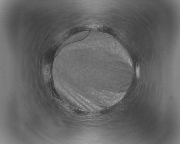 X0000080751347200701051200