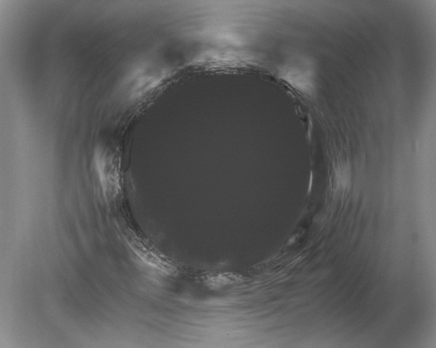 X0000080751348200701051200